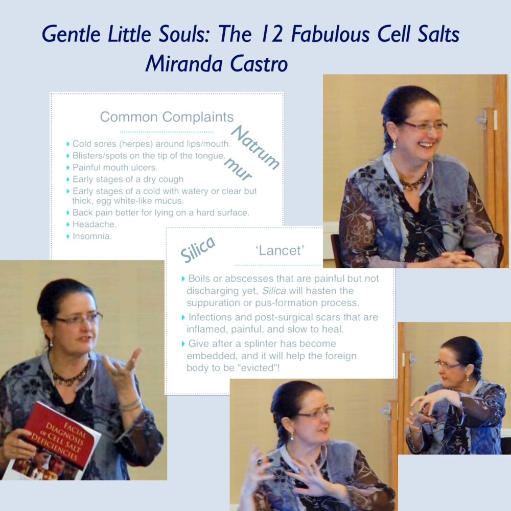 Gentle Little Souls