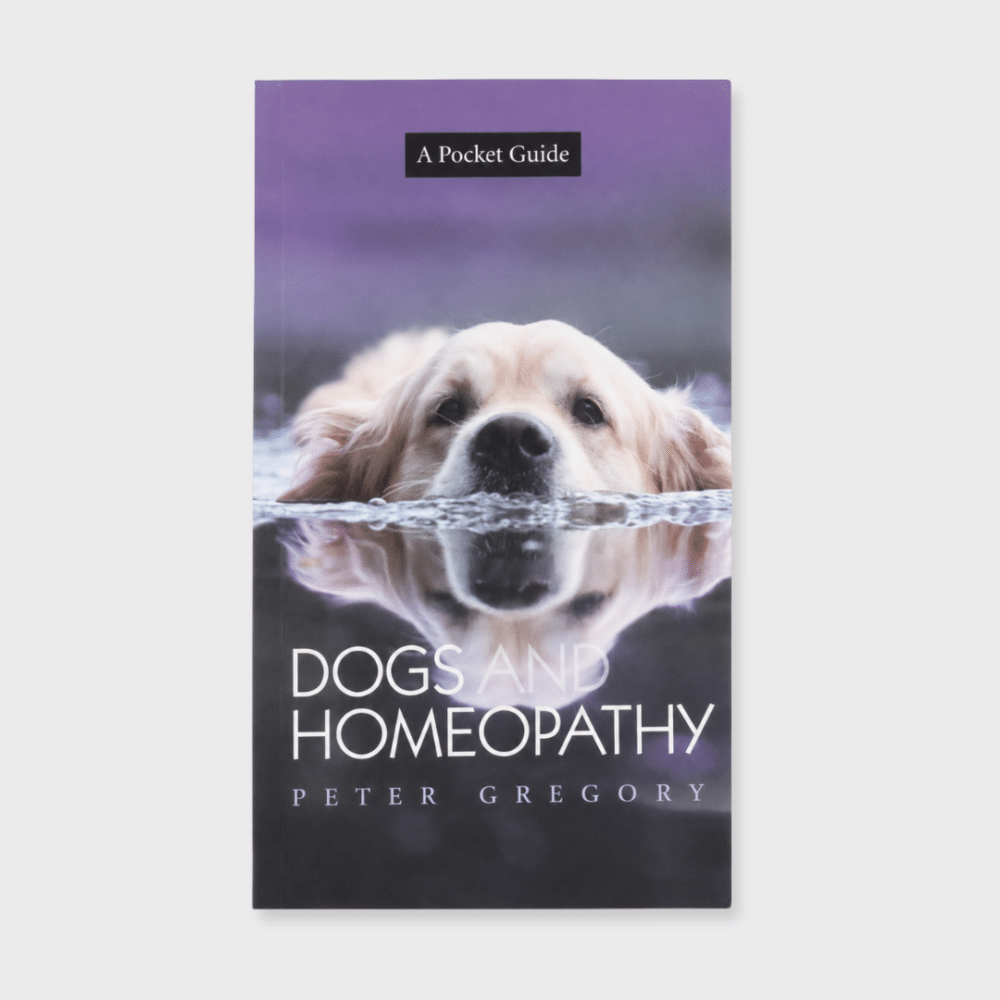Book cover with purple and blue hues of water. Golden Retriever swimming with just head visible above water. Reflection of dogs face in the water. Dogs and Homeopathy a pocket guide by Peter Gregory